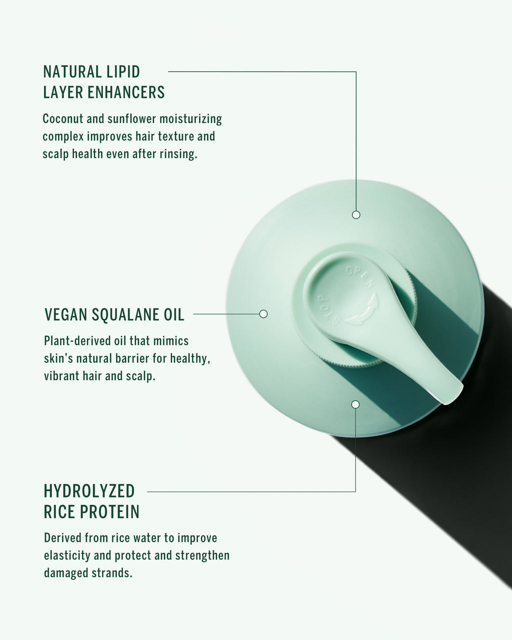 Shampoing Naturel Cypress