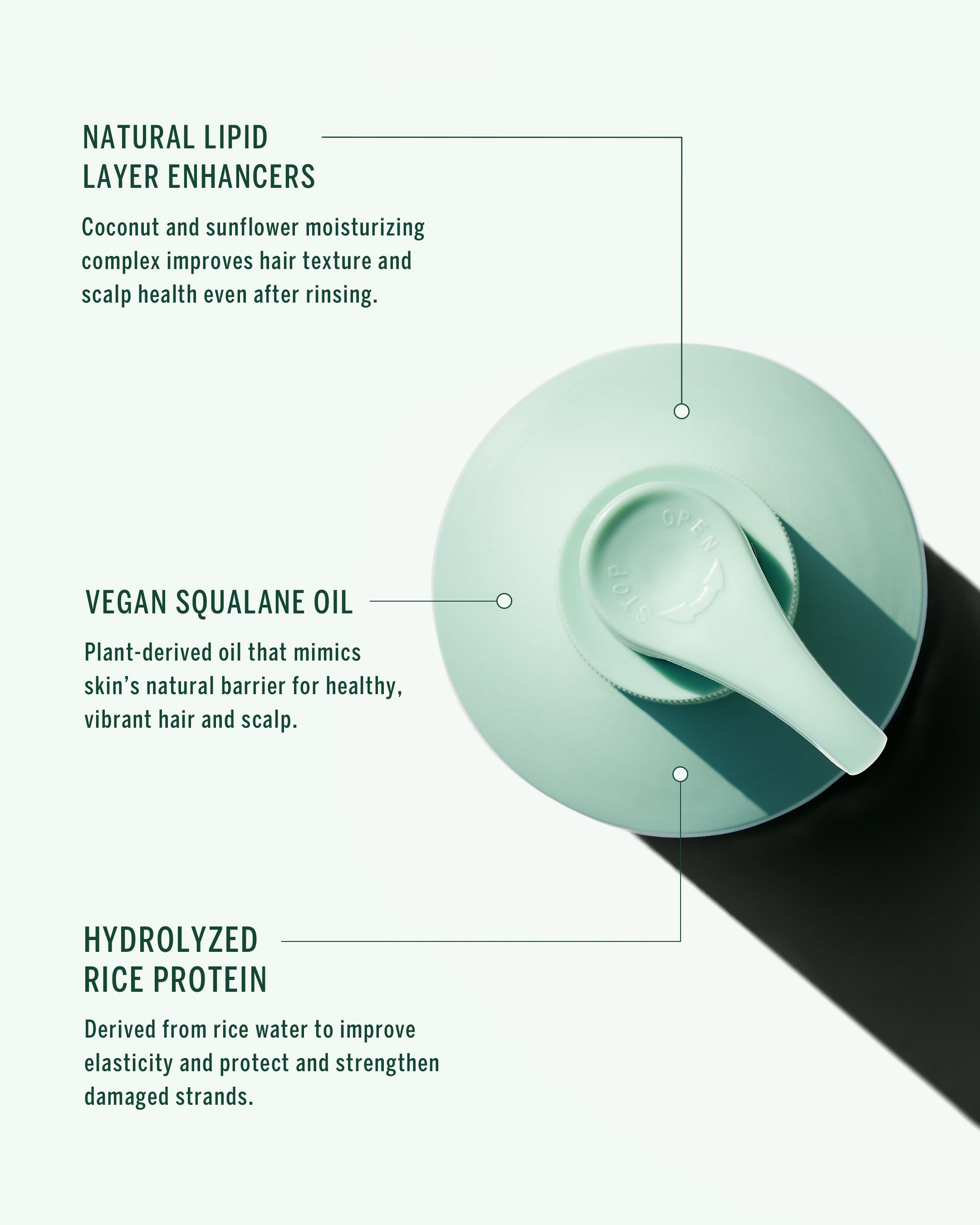 Shampoing Naturel Cypress