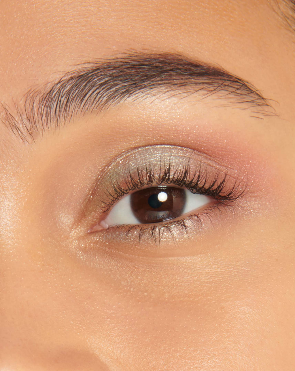 Cpb Eye Color Quad 502 Hol24