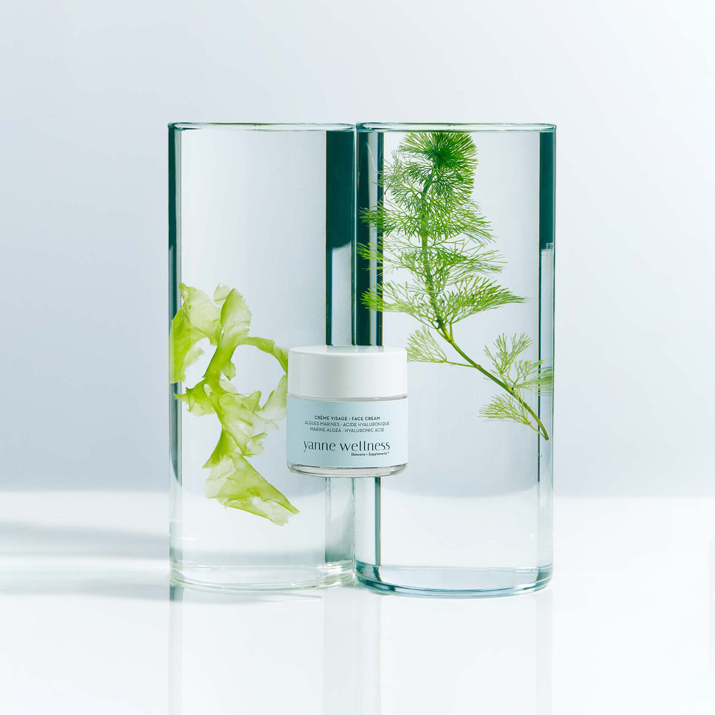 Crème Visage aux Algues 50ml