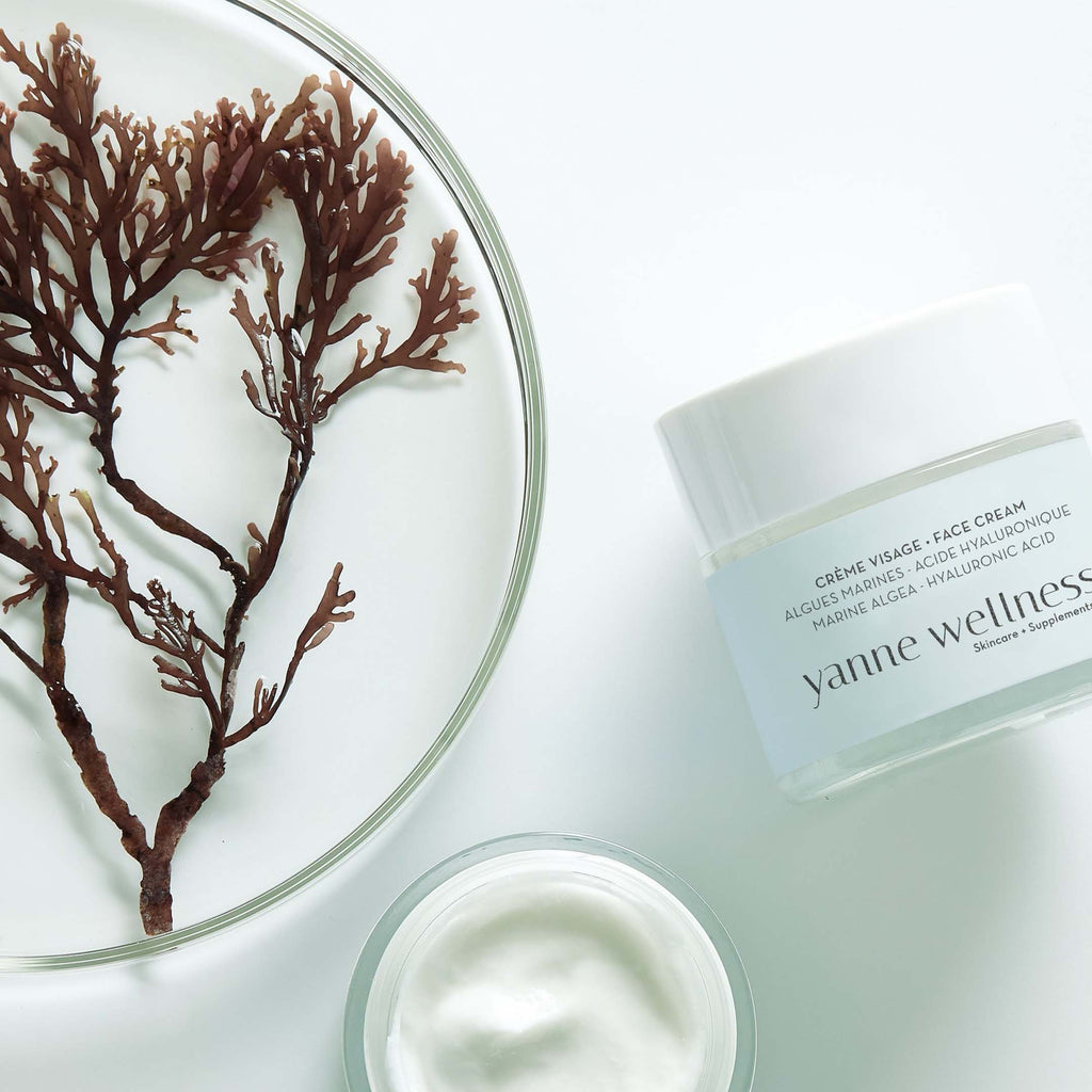 Crème Visage aux Algues 50ml