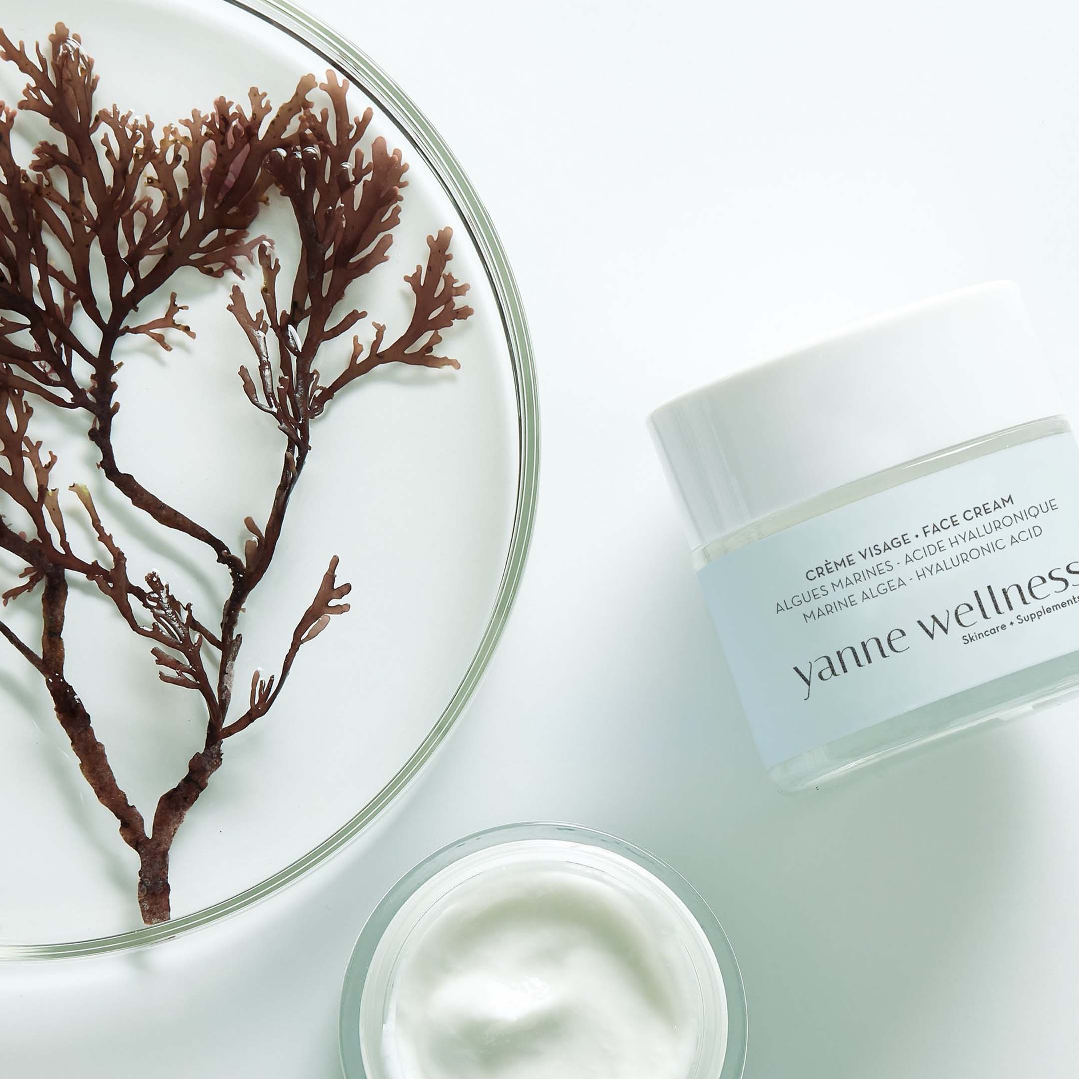 Crème Visage aux Algues 50ml