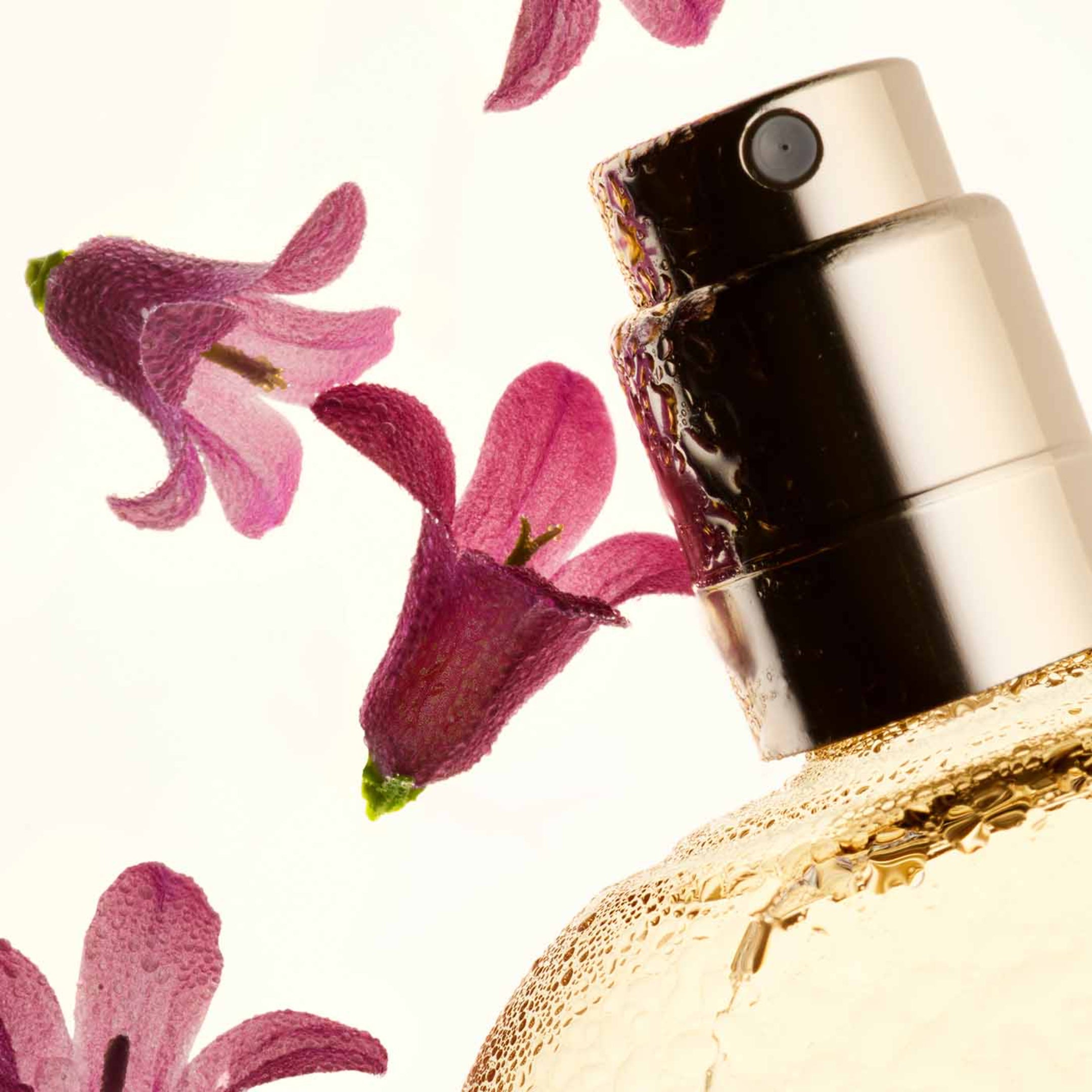 Fix' Make-Up - Limited Edition
