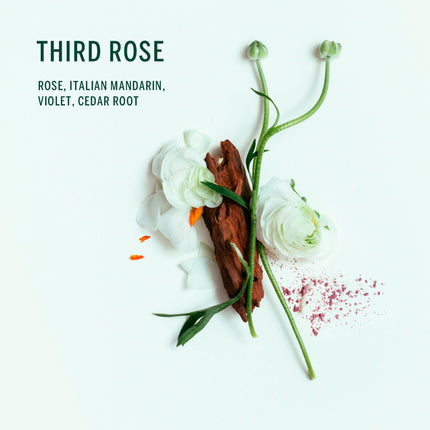 Third Rose Body Wash