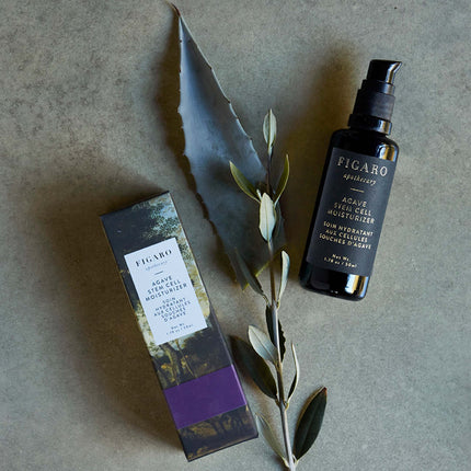 Soin Hydratant Aux Cellules Souches D'Agave