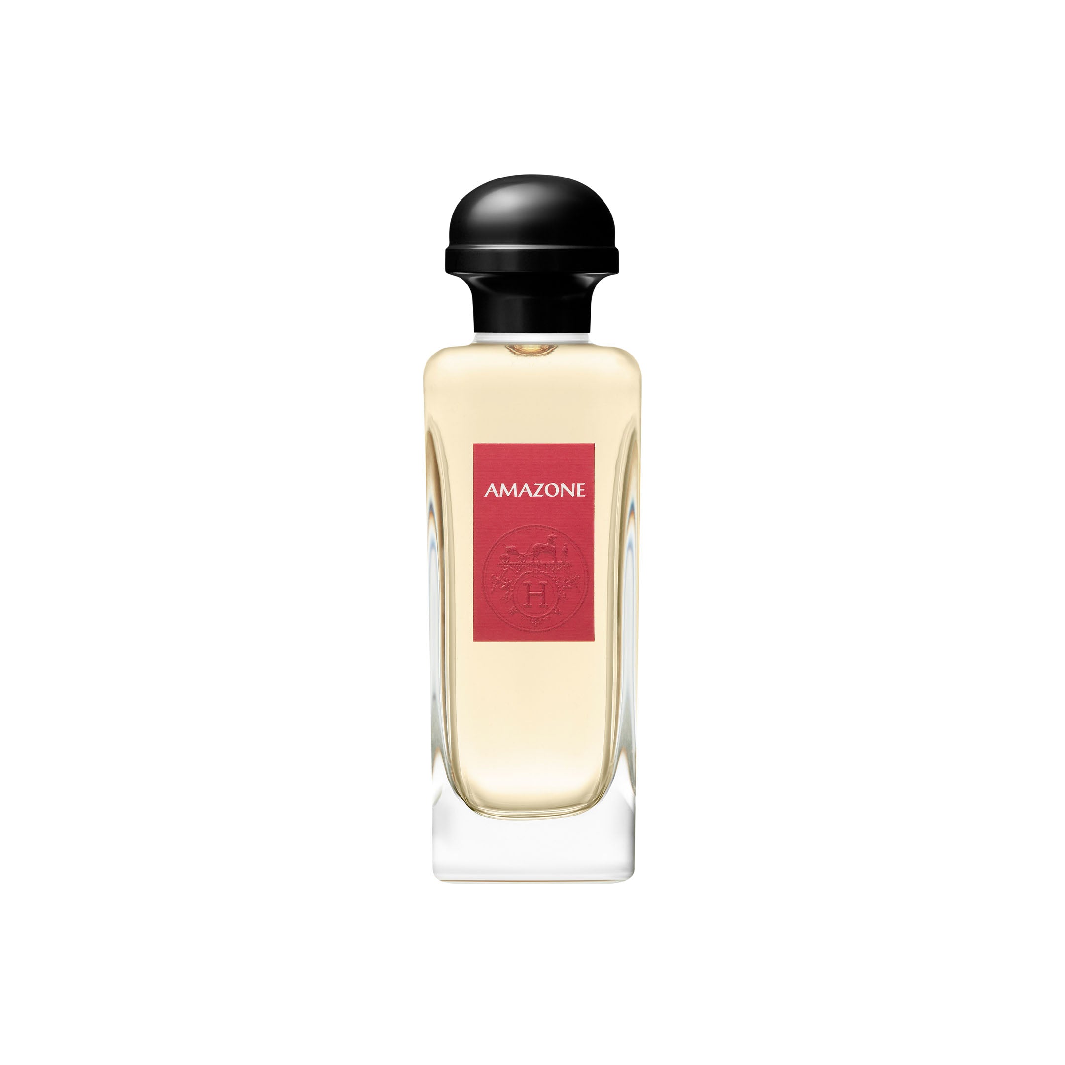 Amazone Eau De Toilette Eau De Parfum Natural Spray 100Ml