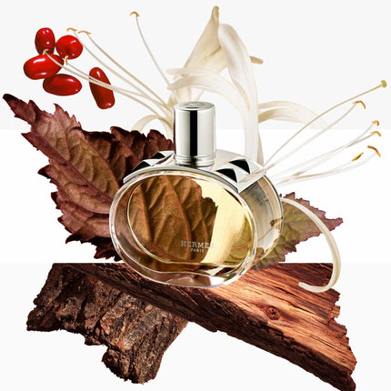 Barenia Perfumed Body Cream 200Ml