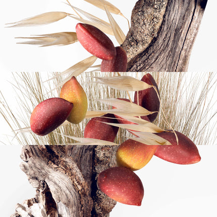 Un Jardin A Cythere Eau De Toilette Natural Spray