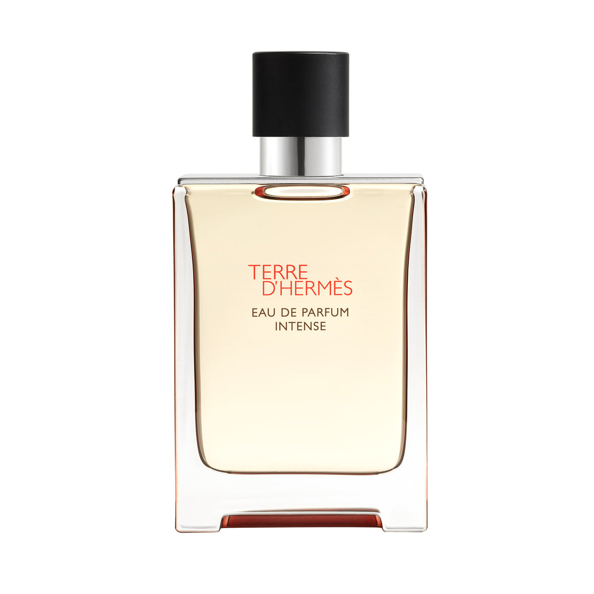 Terre d'Hermès, Eau de Parfum Intense, 100 ml