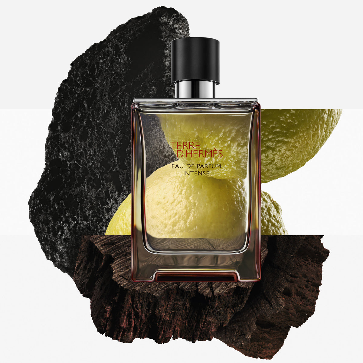 Terre d'Hermès, Eau de Parfum Intense, 100 ml