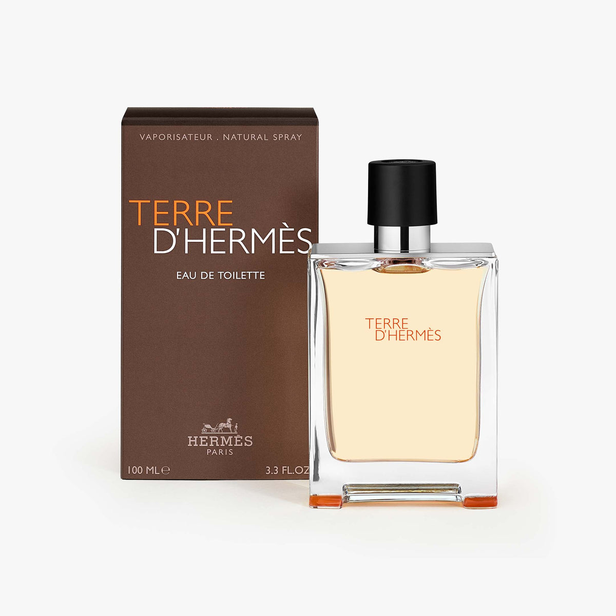 Terre D'Hermes Eau De Toilette Natural Spray100Ml