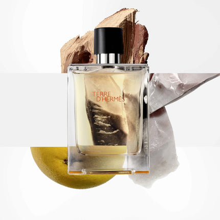 Terre D'Hermes Eau De Toilette Natural Spray