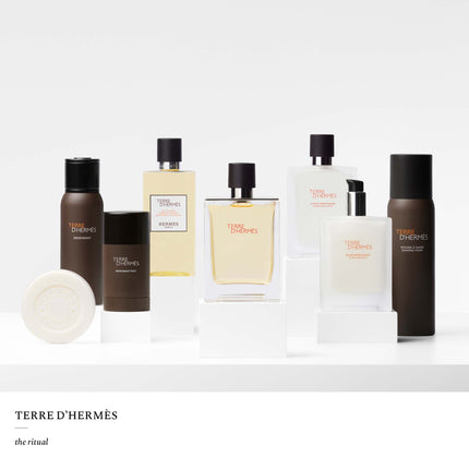 Terre D'Hermes Eau De Toilette Natural Spray
