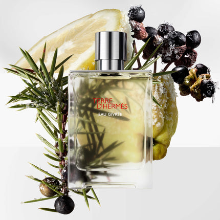 Terre d'Hermès Eau Givrée, Recharge Parfum