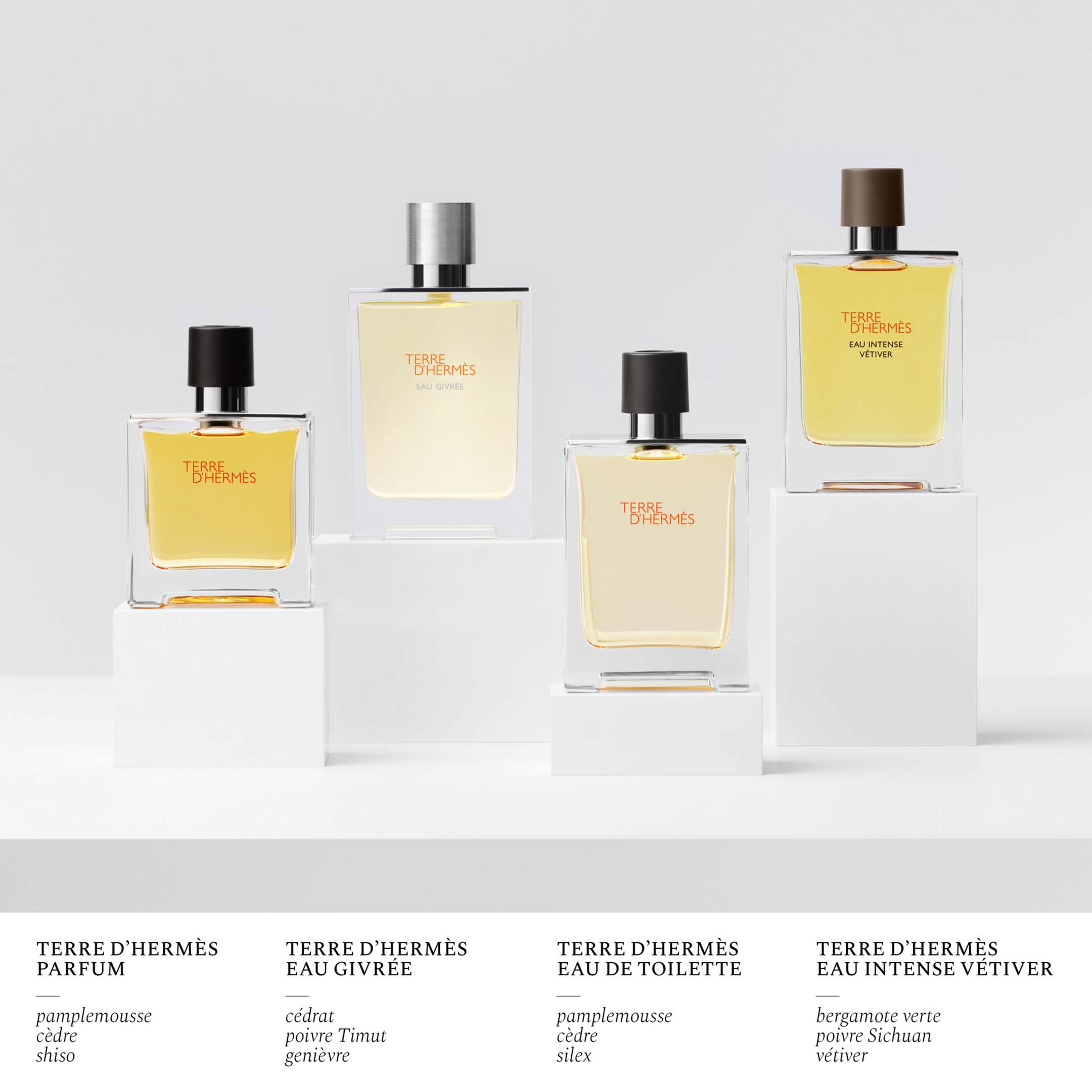 Terre D'Hermes Eau Givree Eau De Parfum Natural Spray