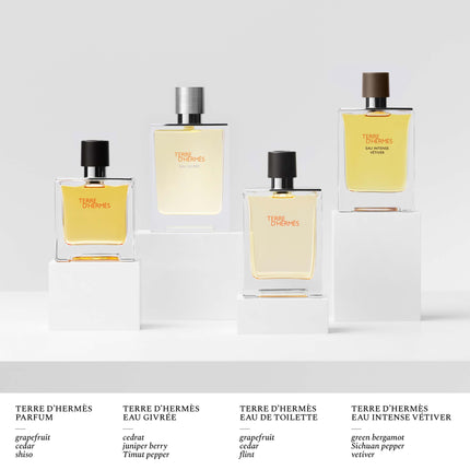 Terre D'Hermes Pure Parfum 125Ml Refill