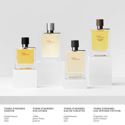 Terre D'Hermes Pure Parfum Natural Spray