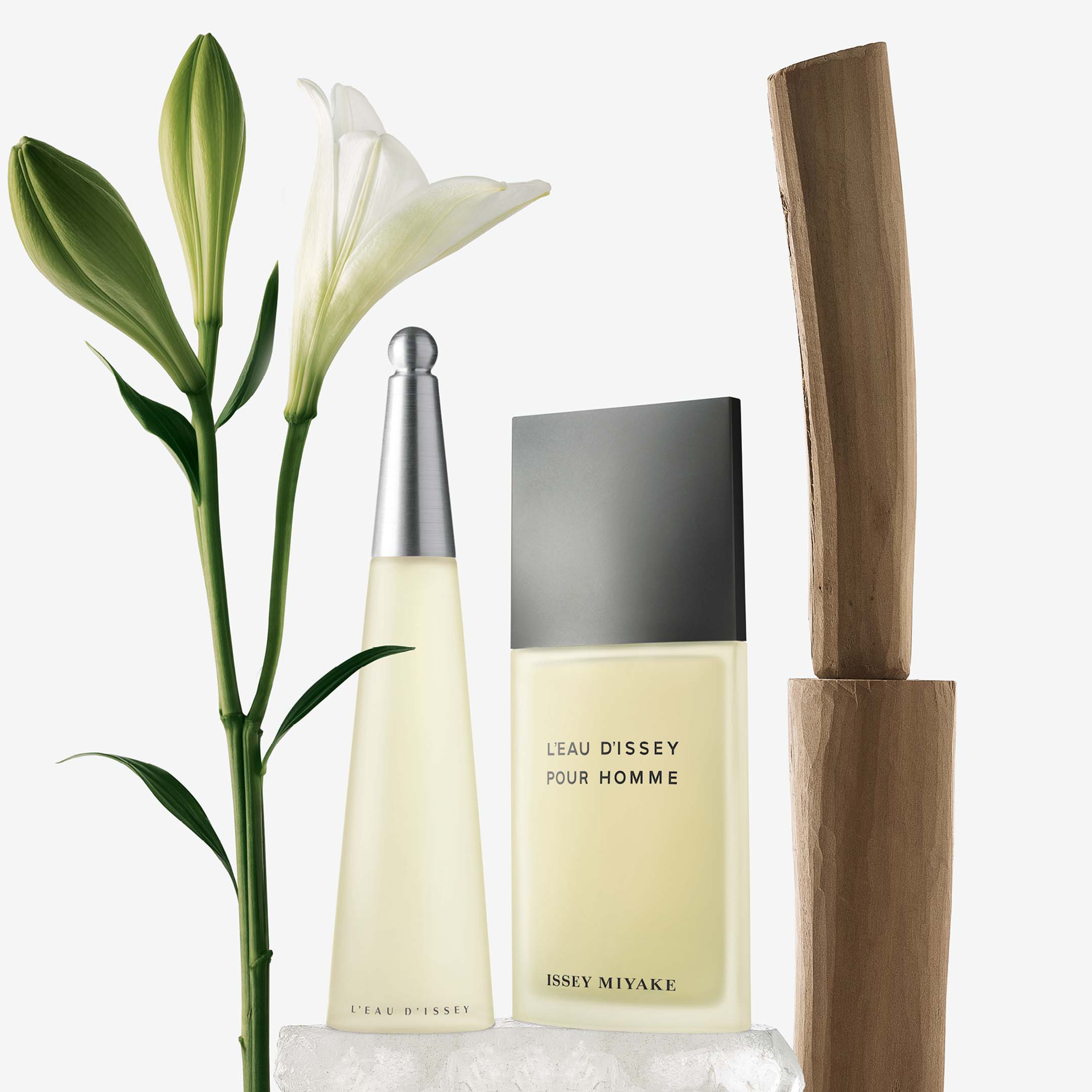 Issey Miyake L'Eau D'Issey Eau De Toilette