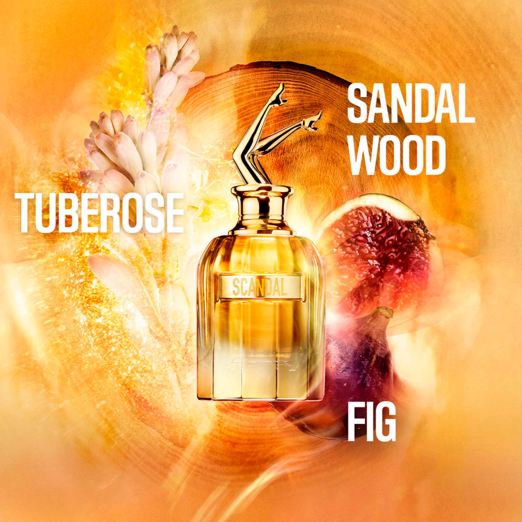 Scandal For Her Absolu