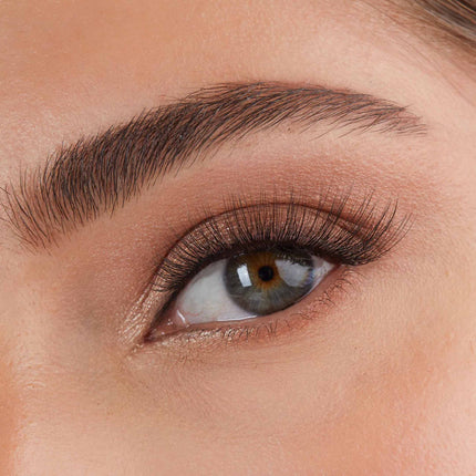 03 | Everyday Winged