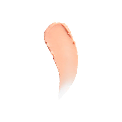 Pore Filler Primer