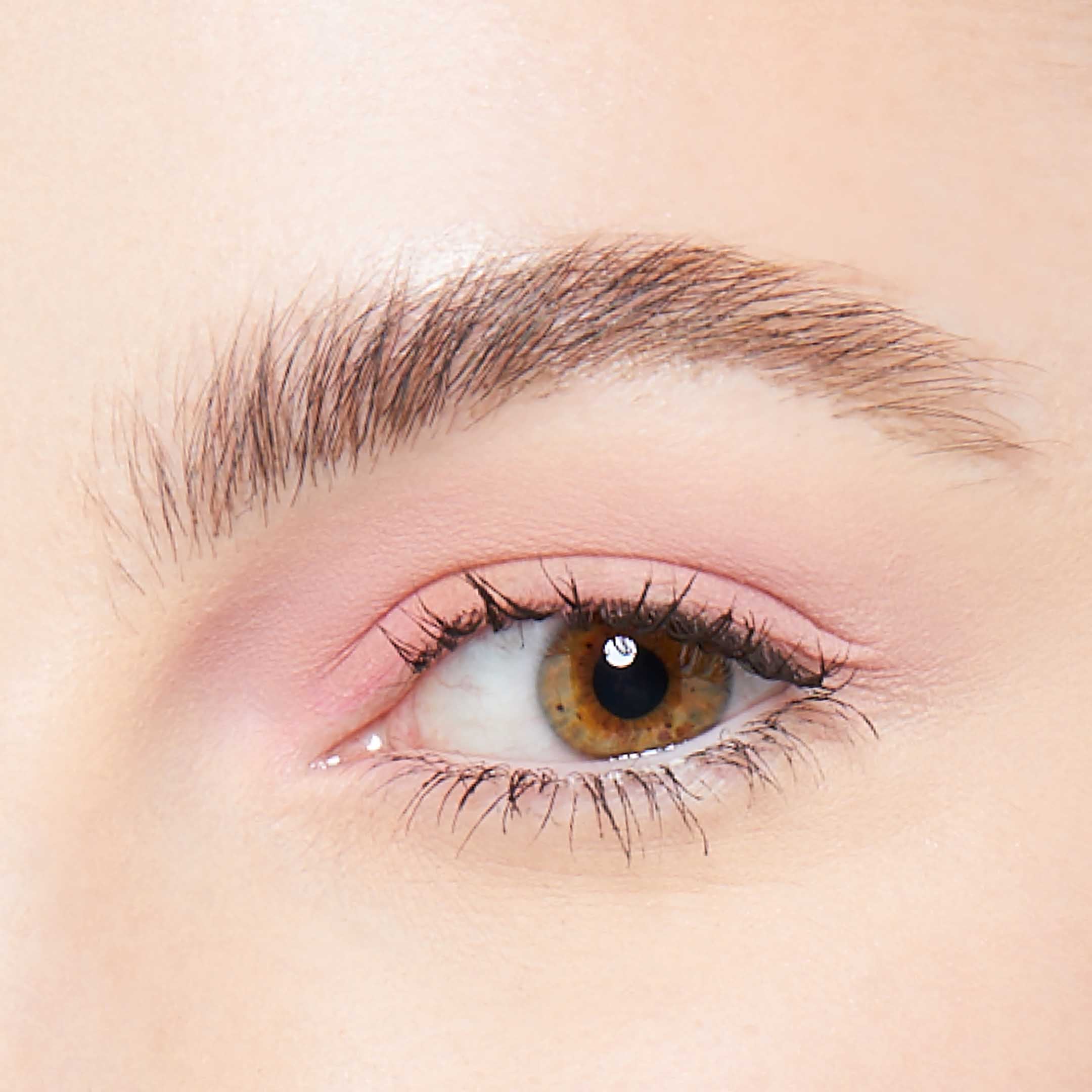 The Brow Glue Instant Brow Styler