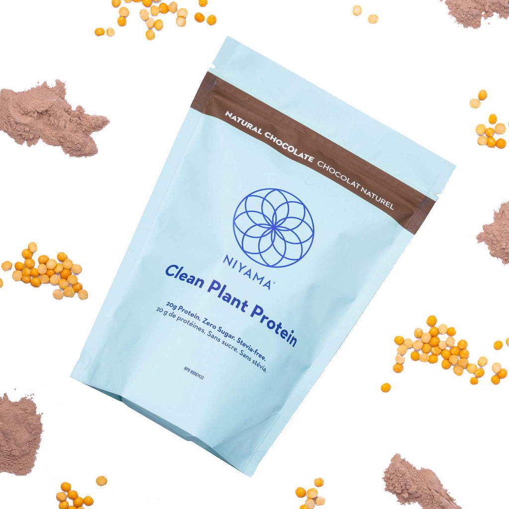 Clean Plant Protein - Chocolat 14 Servings