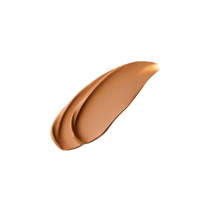 Skin Fetish Sublime Perfection Concealer