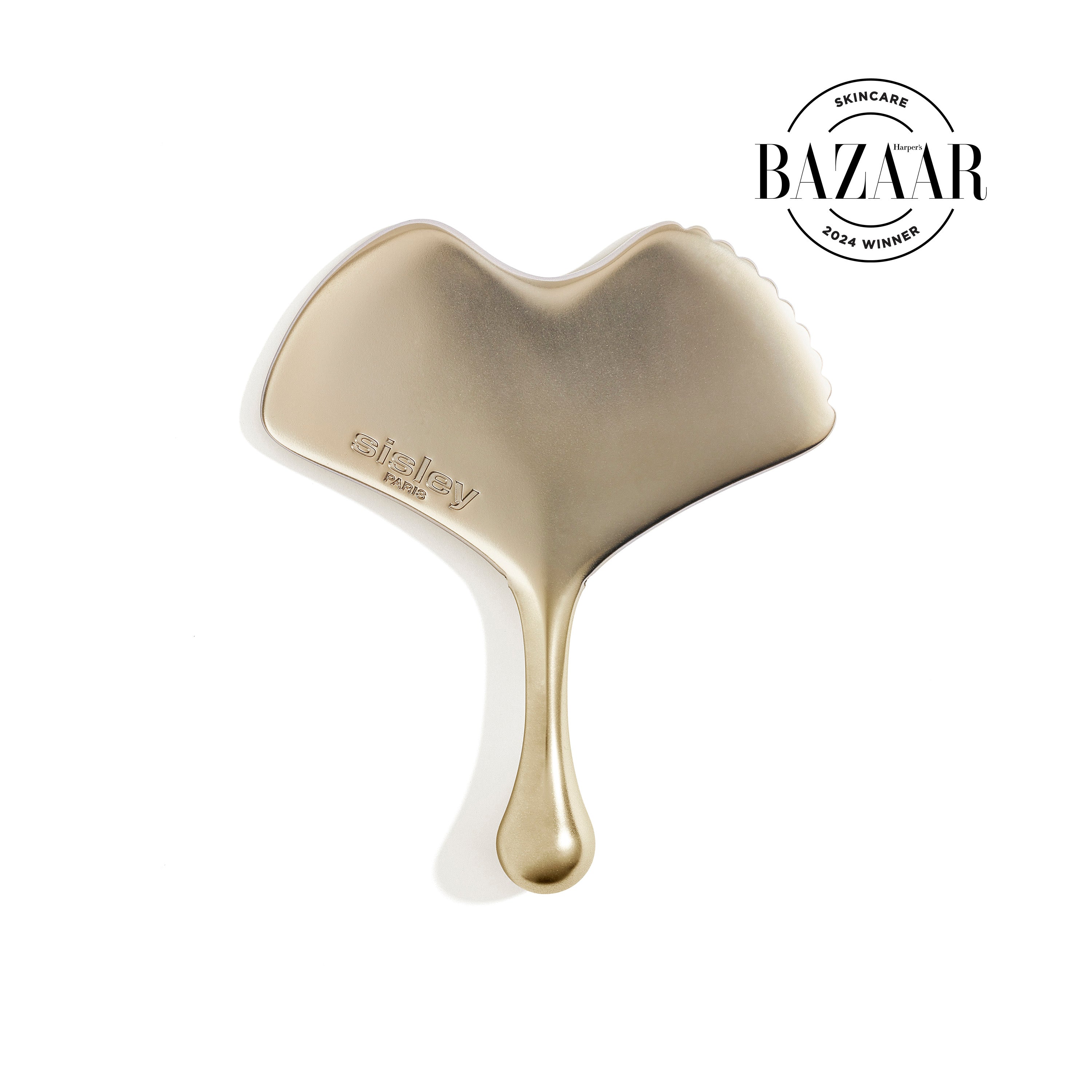 Ginkgo Gua Sha