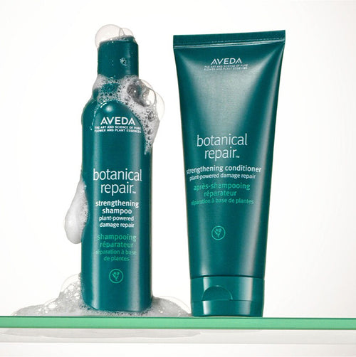 Botanical Repair  Damage Repair Treatment