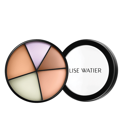 Portfolio Professional Correctors 4-In-1