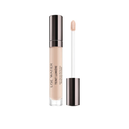 Teint Lumière Perfecting Concealer