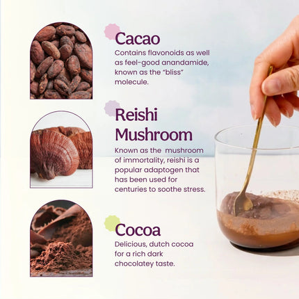 Reishi Hot Cacao Blend