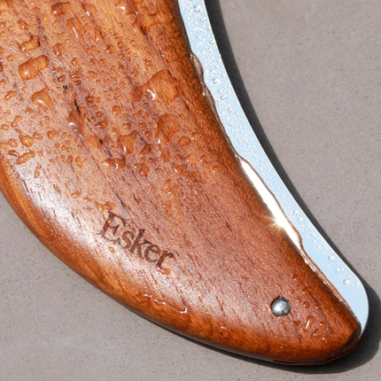 Body Plane Tool