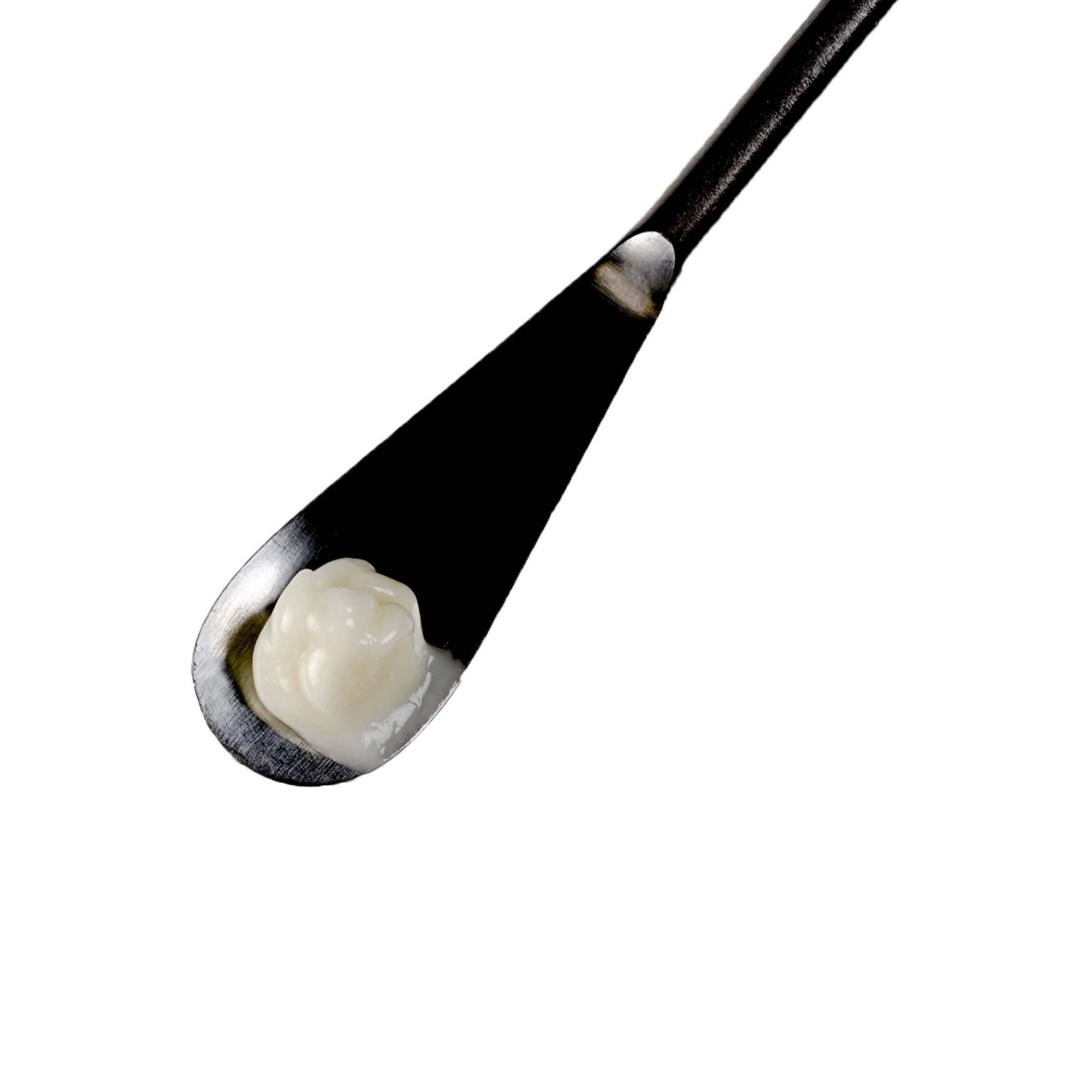 Phyto Stem Cell Contour Yeux