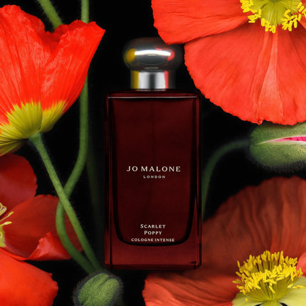 Coquelicot écarlate Cologne Intense