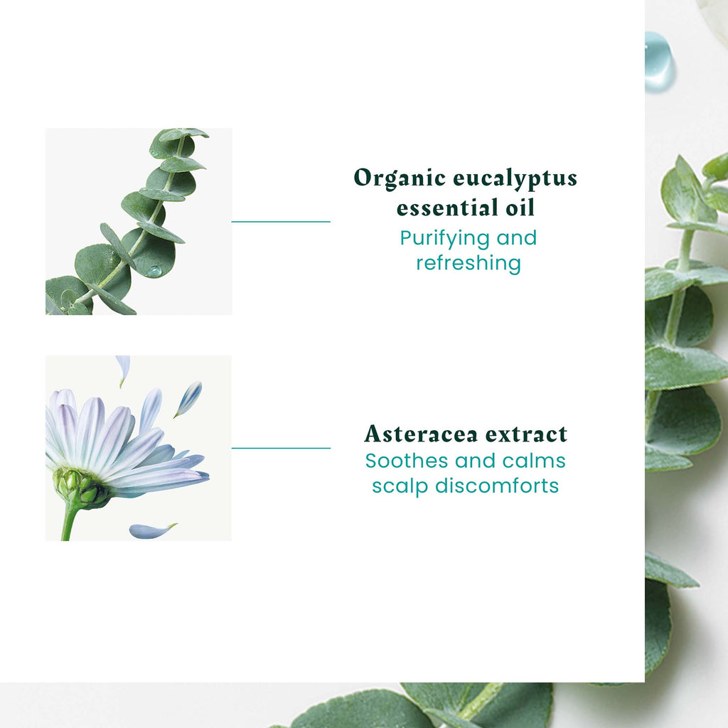 Head Spa Astera Soothing Concentrate