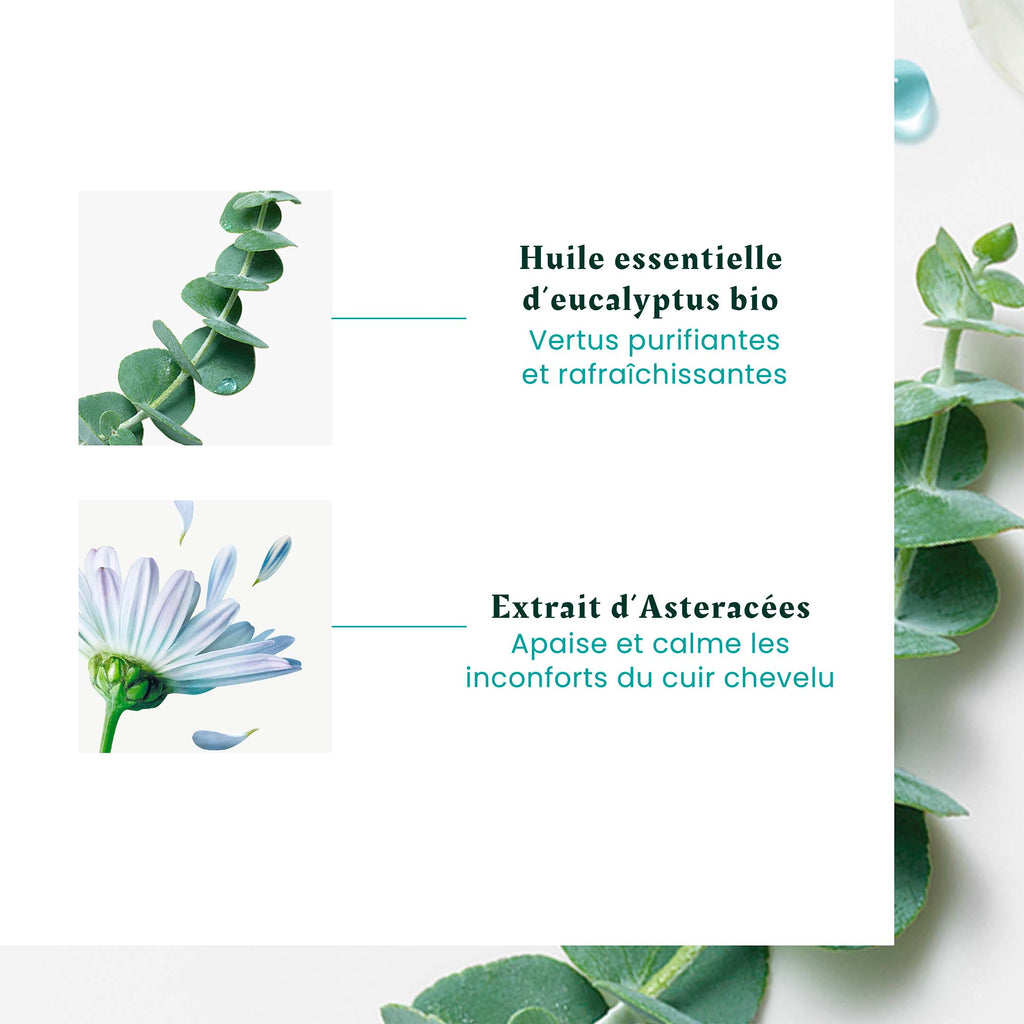 Head Spa Astera Soothing Concentrate