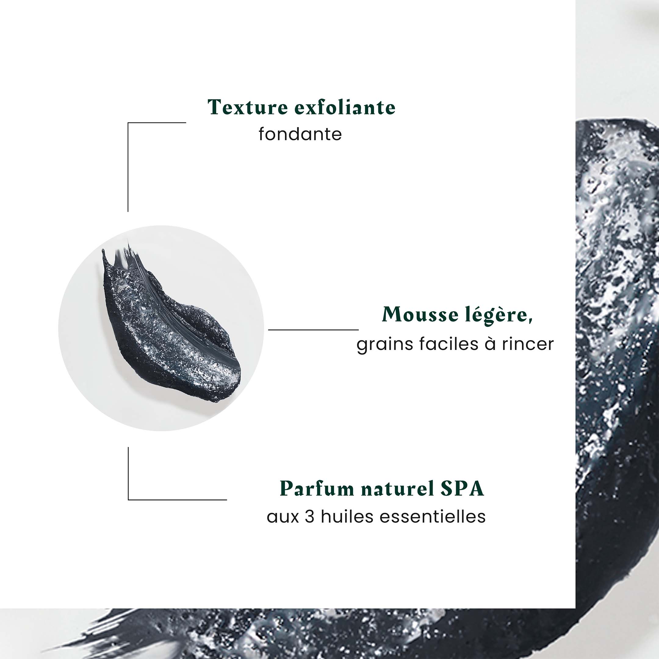 Head Spa Purifying Scrub Detox