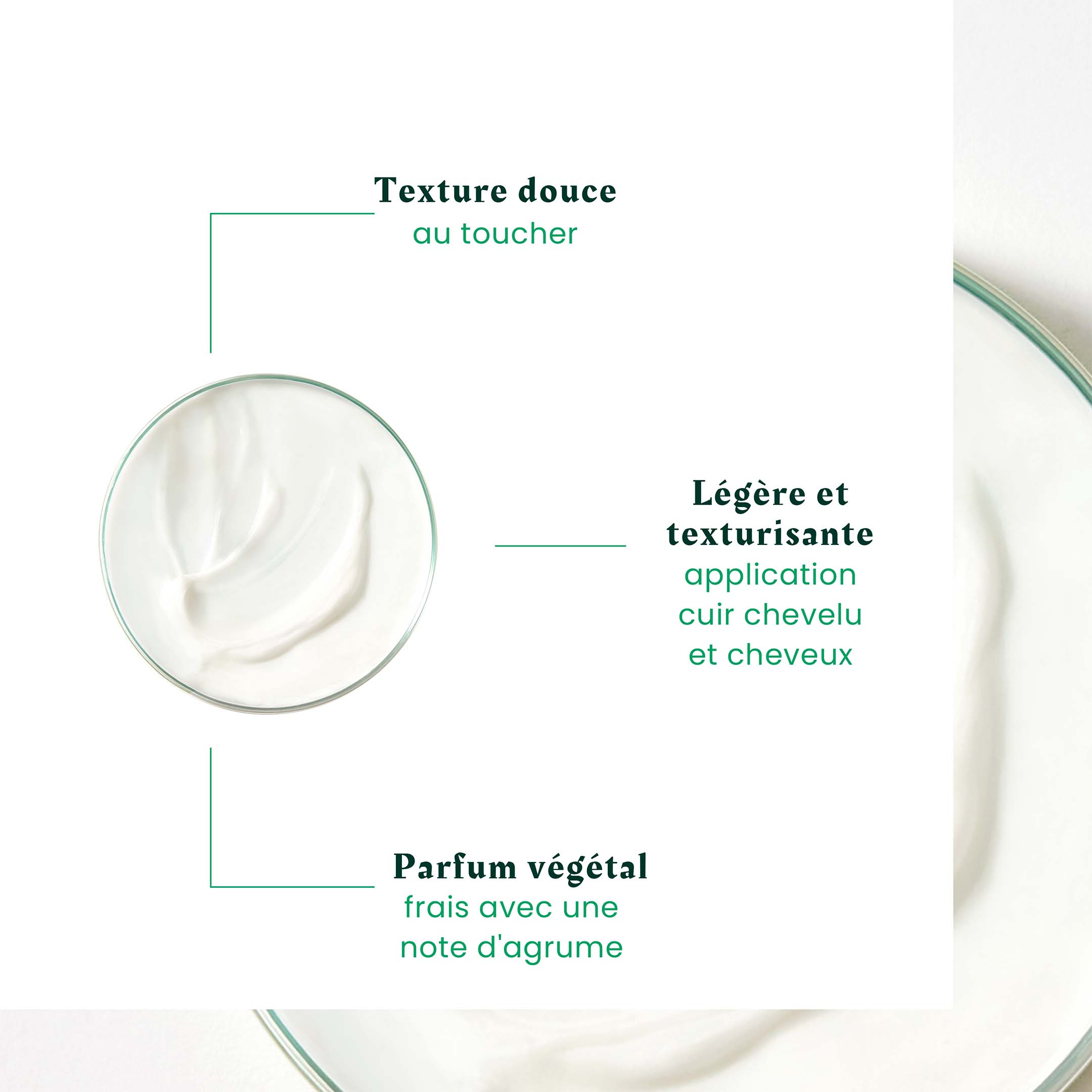 Triphasic Texturizing Detangling Conditioner