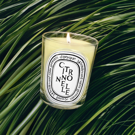 Citronnelle (Lemongrass) Classic Candle