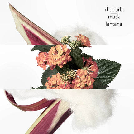Eau de rhubarbe écarlate, Perfumed soap