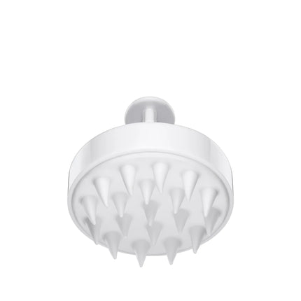 SCALP BRUSH
