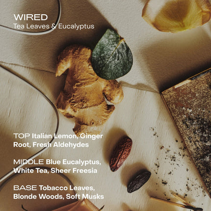 Sidia Bougie Wired