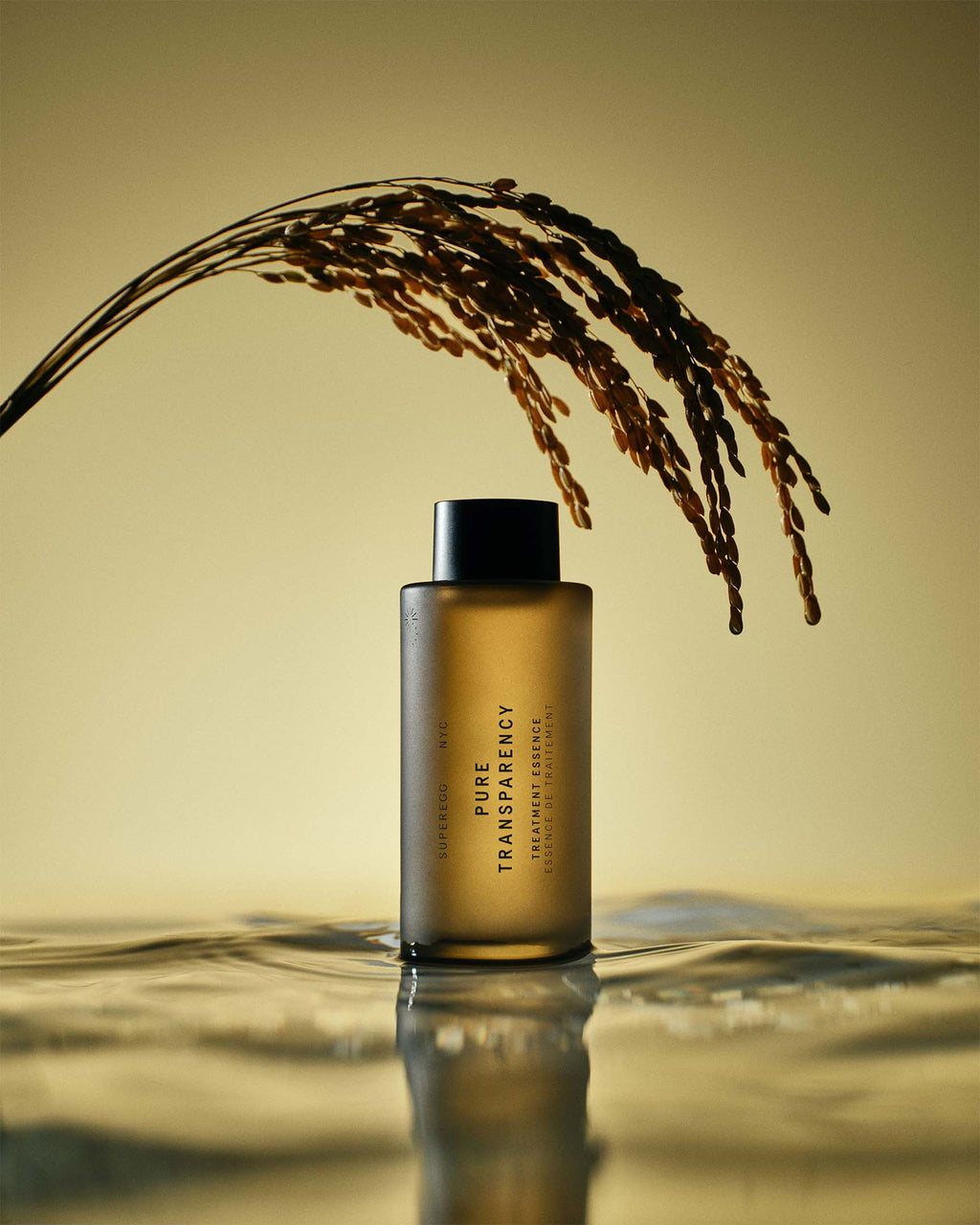 Essence De Traitement Pure Transparence